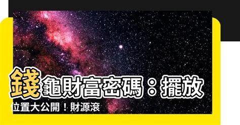 錢龜擺放位置|錢龜功效這麼神奇！源源不絕的錢財